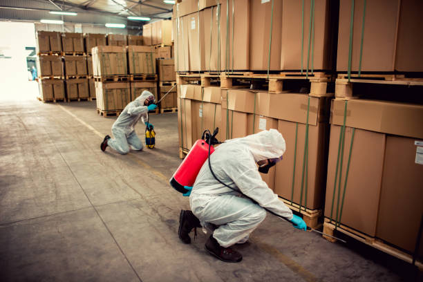 Best Pest Prevention Services  in Warm Mineral Springs, FL
