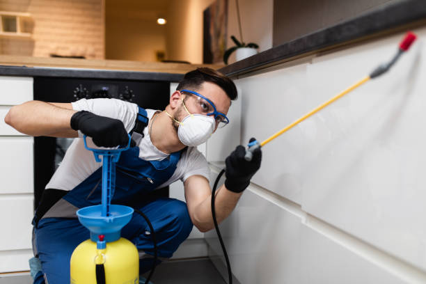 Best Best Pest Control Companies  in Warm Mineral Springs, FL