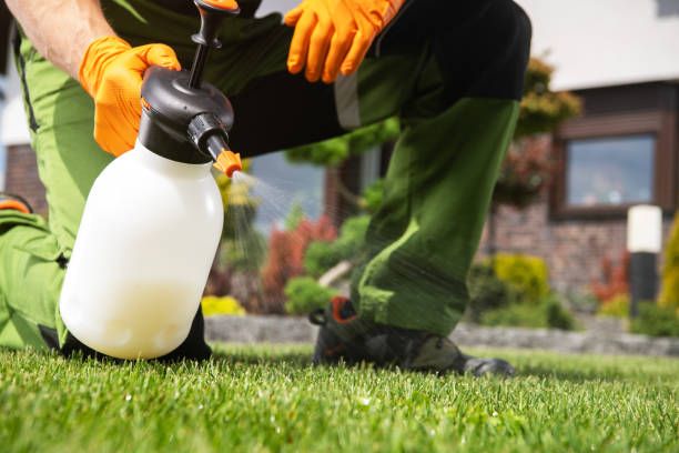 Best Local Pest Control Services  in Warm Mineral Springs, FL