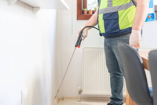 Best Best Pest Control Companies  in Warm Mineral Springs, FL