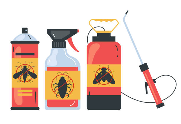 Best Wasp Removal Services  in Warm Mineral Springs, FL